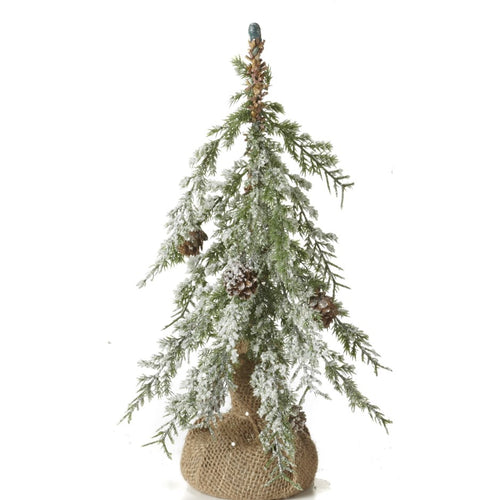 Frosted Needle Pine Tree