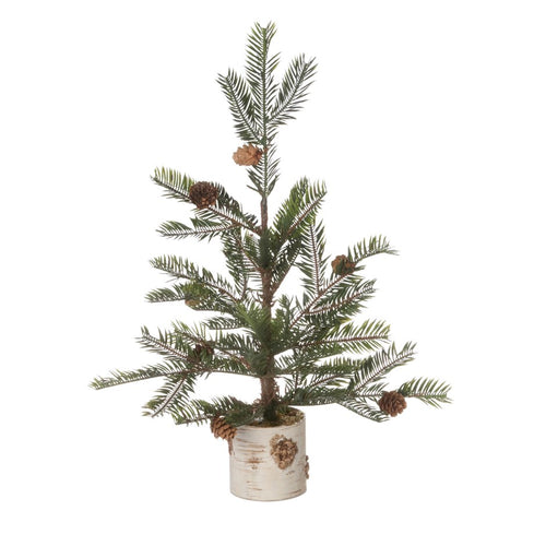 Fir Tree w/Birch Tree