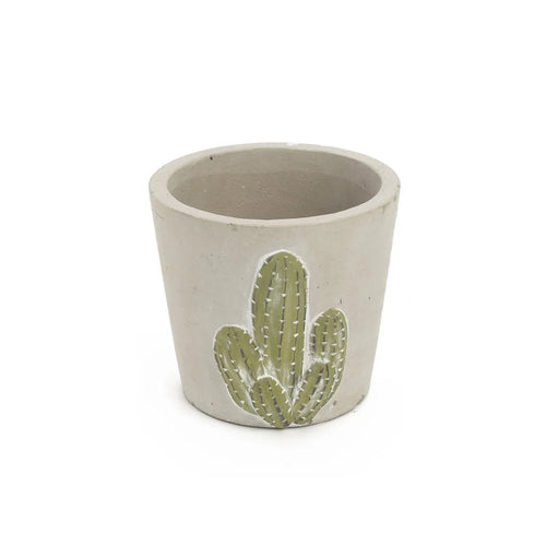 Cactus Planter