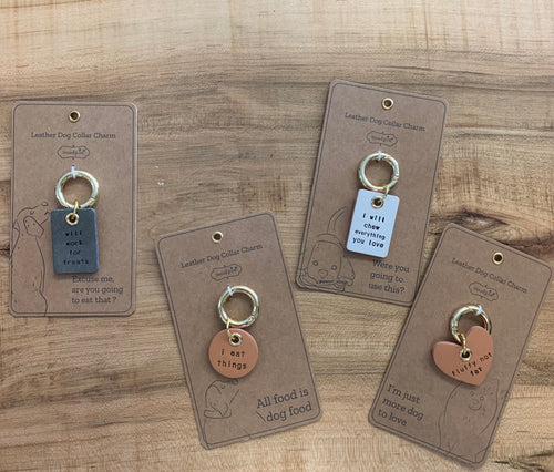 Leather Dog Collar Charm