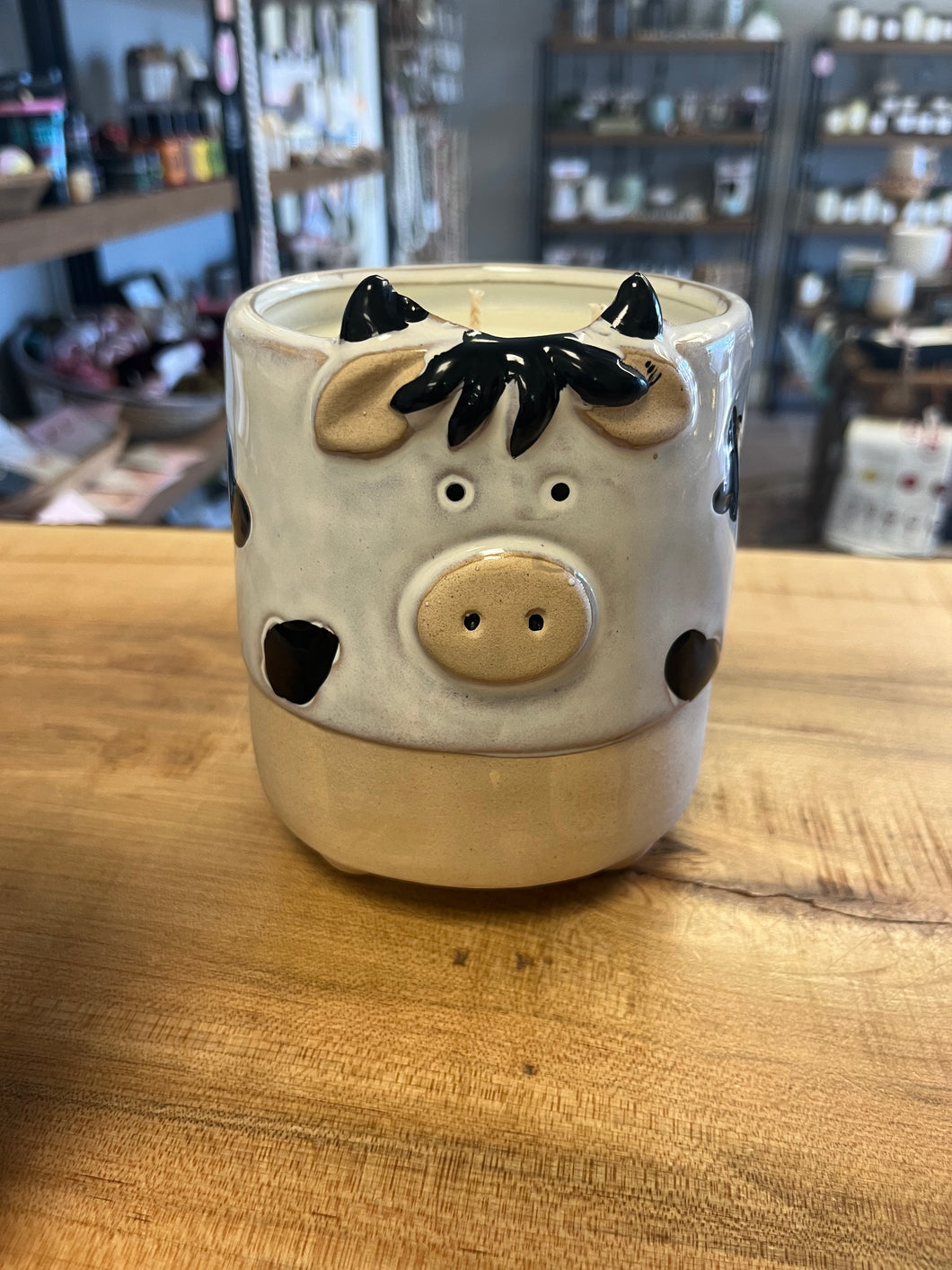 Large 3-Wick candle in Cow Planter