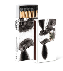 Matches